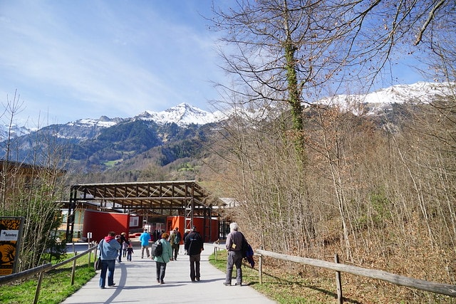 20251102-0z7g3 20251102-0z7g3