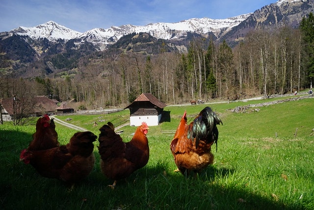 20251102-31ytb 20251102-31ytb