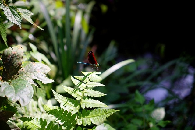 20251102-3pk7g 20251102-3pk7g