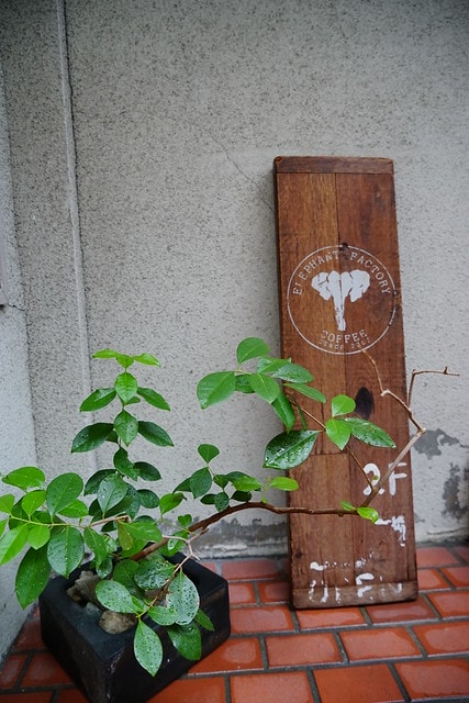 20251102-b9wfw 20251102-b9wfw