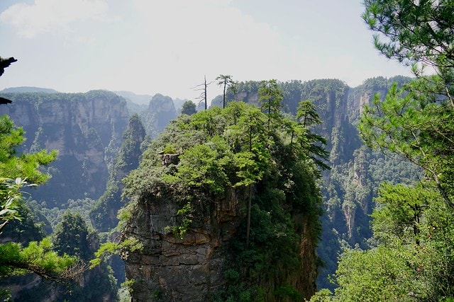 20251102-c25mr 20251102-c25mr