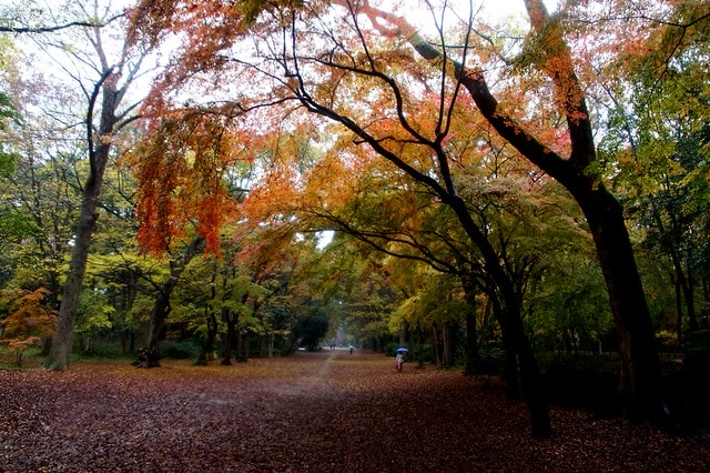 20251102-cjeik 20251102-cjeik