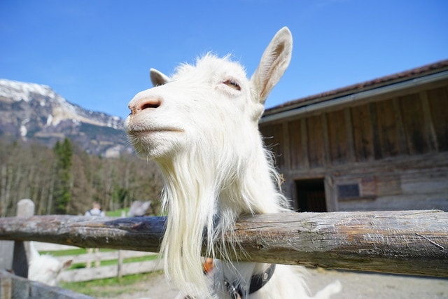 20251102-fsbdh 20251102-fsbdh