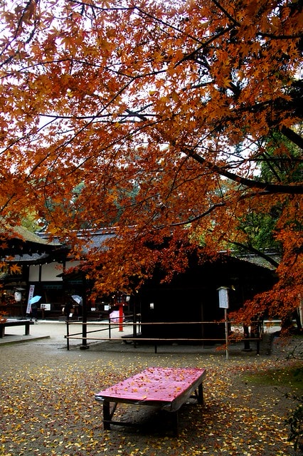 20251102-hhfa7 20251102-hhfa7