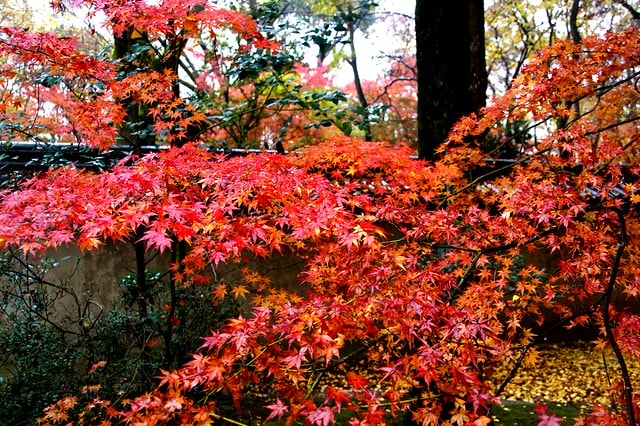 20251102-iz3e8 20251102-iz3e8