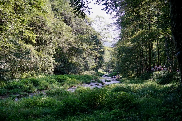 20251102-n4lb6 20251102-n4lb6