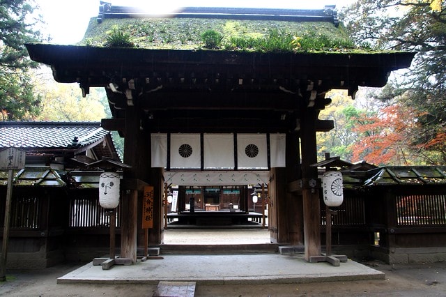 20251102-nt363 20251102-nt363