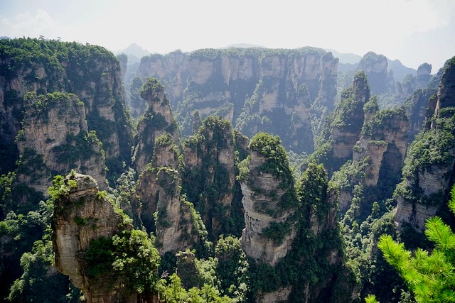 20251102-om4o5 20251102-om4o5