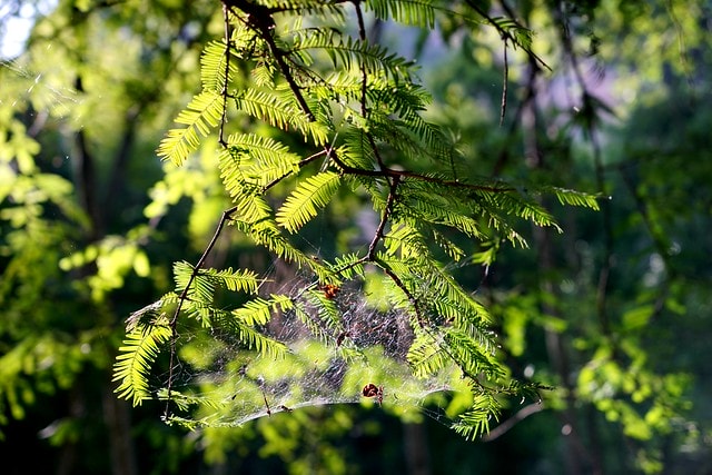 20251102-wi72b 20251102-wi72b