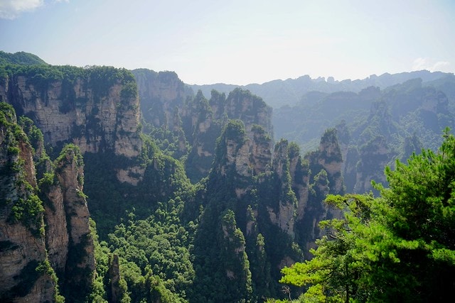 20251102-wtje5 20251102-wtje5