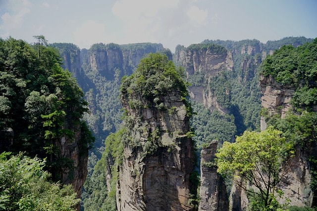 20251102-x49bl 20251102-x49bl