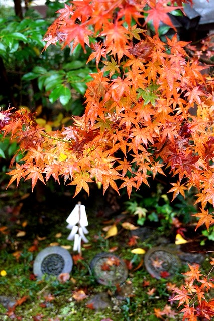 20251102-xa10i 20251102-xa10i