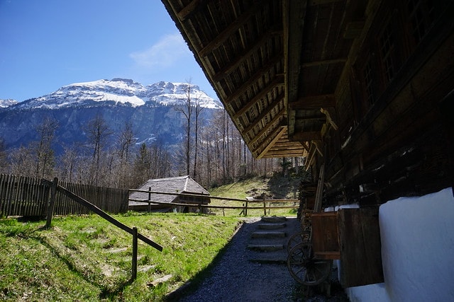 20251102-yj09q 20251102-yj09q