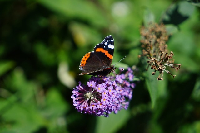 20251102-3zws5 20251102-3zws5