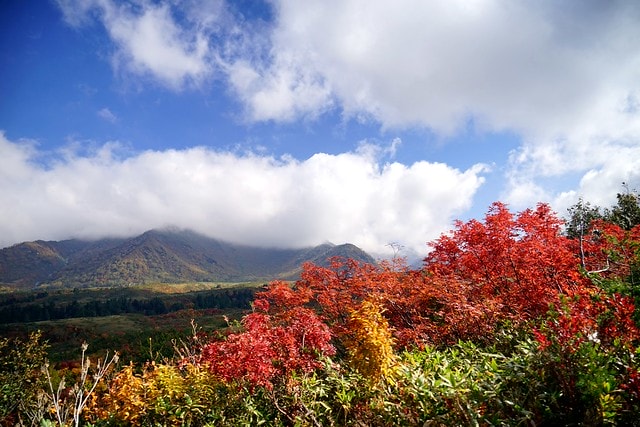 20251102-46y4t 20251102-46y4t