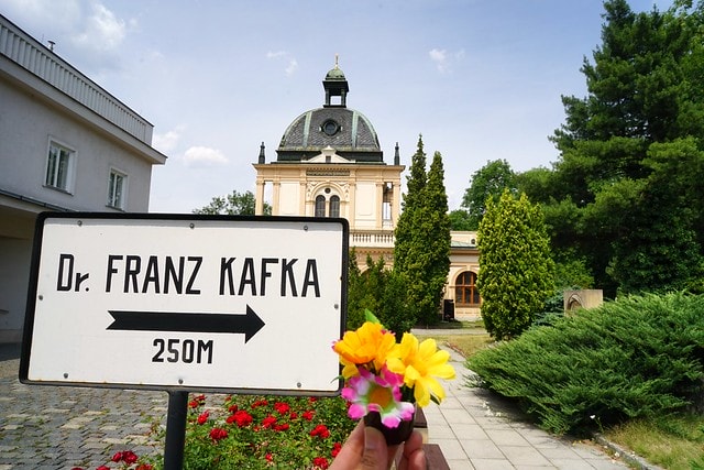 20251102-4t8bd 20251102-4t8bd