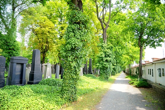 20251102-5c8io 20251102-5c8io