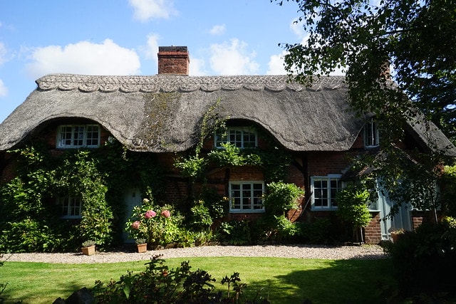 20251102-7dsa7 20251102-7dsa7