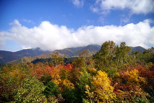 20251102-i98ei 20251102-i98ei