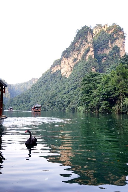 20251102-ifns9 20251102-ifns9