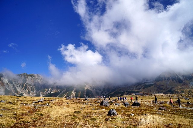 20251102-jz3ow 20251102-jz3ow