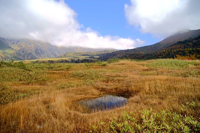 20251102-l5l5h 20251102-l5l5h