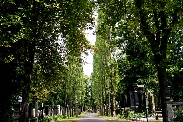 20251102-l6zga 20251102-l6zga