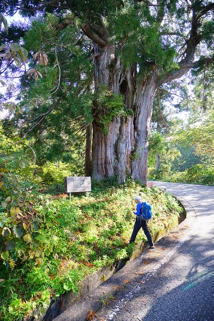 20251102-mex95 20251102-mex95