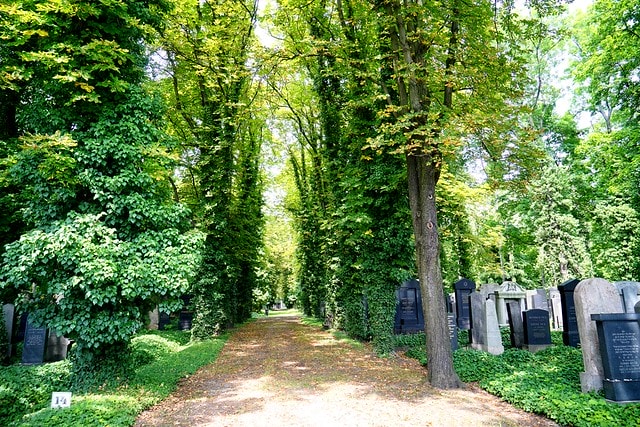 20251102-o3v29 20251102-o3v29