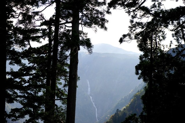 20251102-quc8g 20251102-quc8g