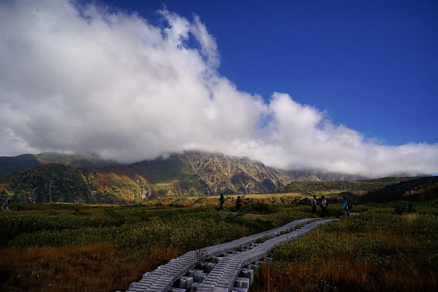 20251102-qyvlk 20251102-qyvlk