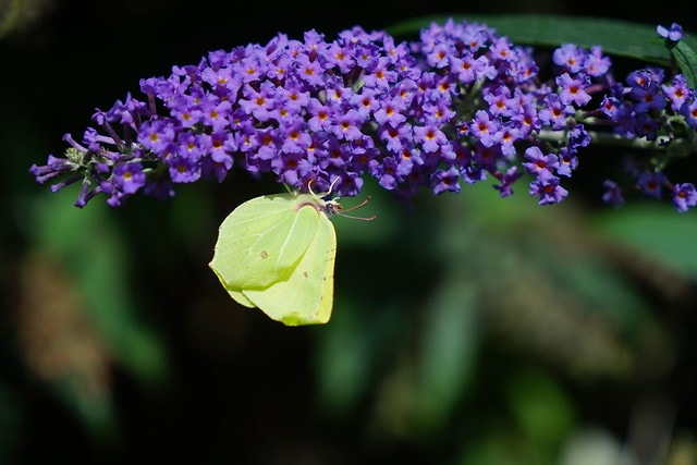 20251102-ti1tb 20251102-ti1tb