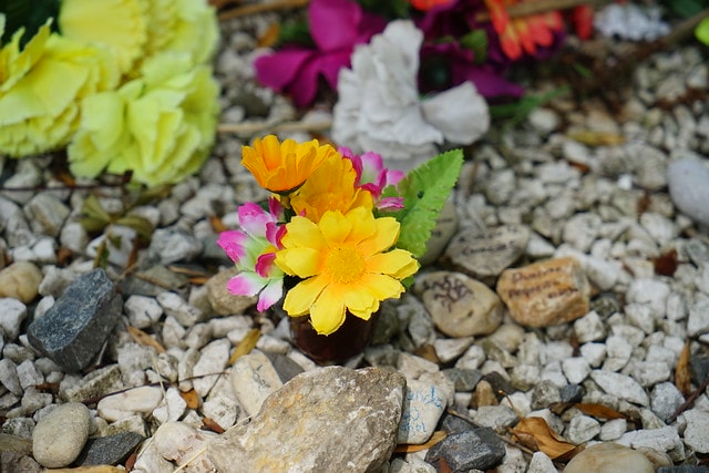 20251102-tqz13 20251102-tqz13