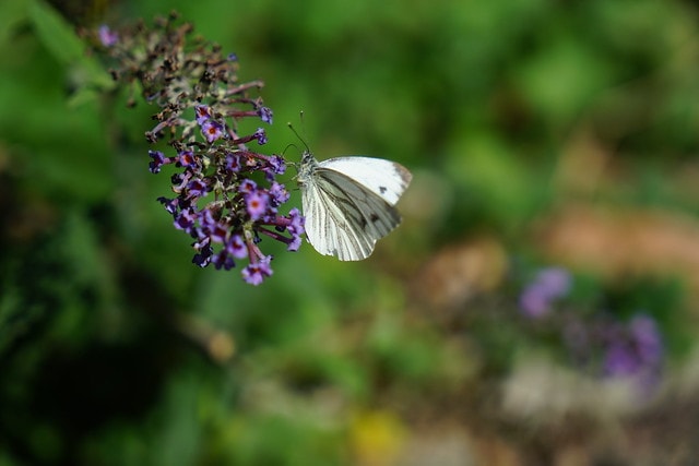 20251102-u4g2q 20251102-u4g2q