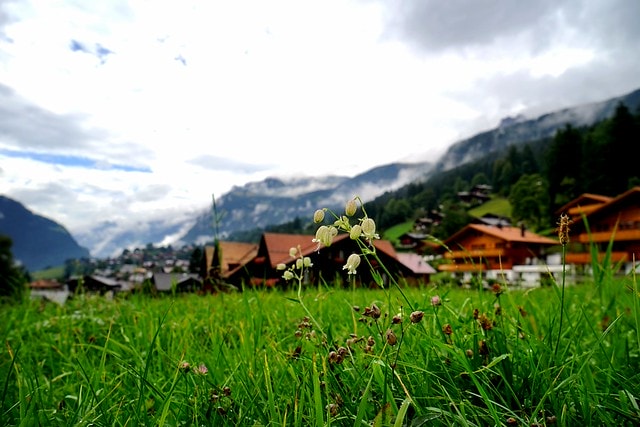 20251102-ew0ha 20251102-ew0ha