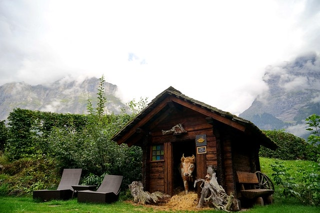 20251102-ovcpp 20251102-ovcpp