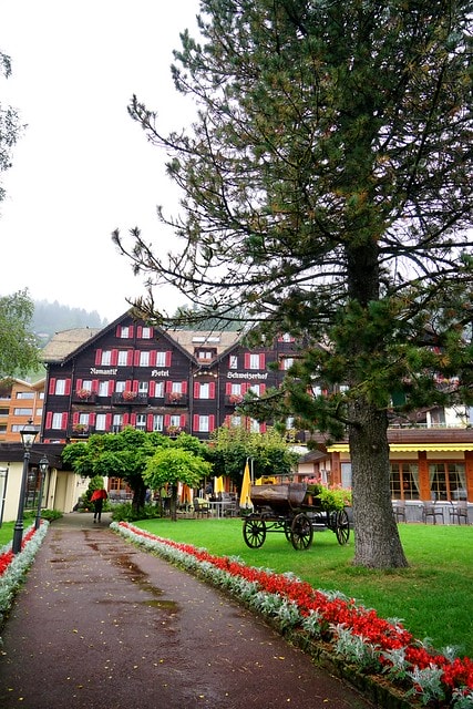 20251102-qfhwj 20251102-qfhwj