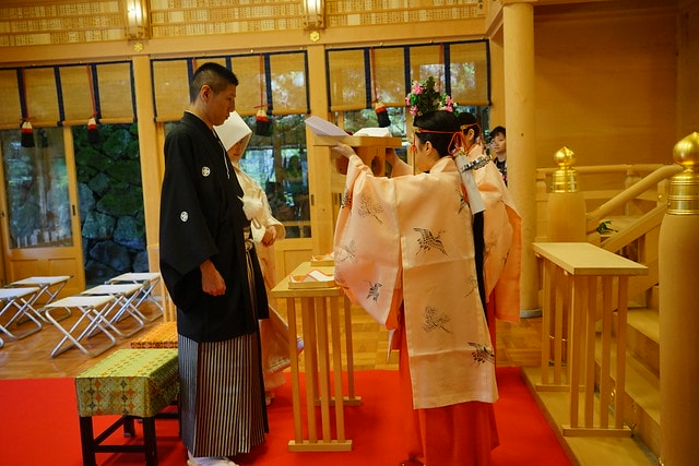 20251102-rmeo8 20251102-rmeo8