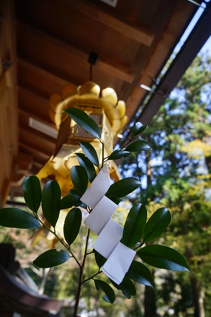 20251102-tohed 20251102-tohed