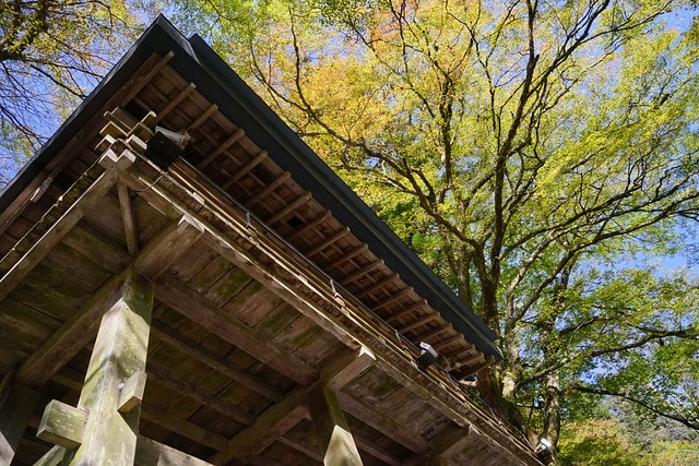 20251102-v8f2n 20251102-v8f2n