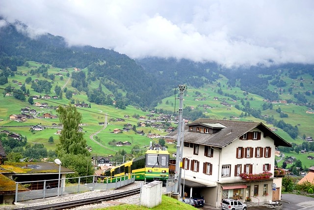 20251102-yibwc 20251102-yibwc