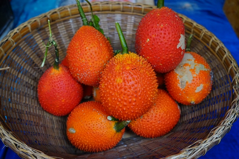 20251102-3483y 20251102-3483y