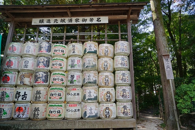 20251102-kggow 20251102-kggow