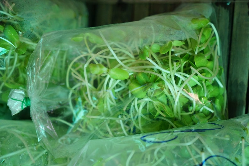 20251102-ncli4 20251102-ncli4