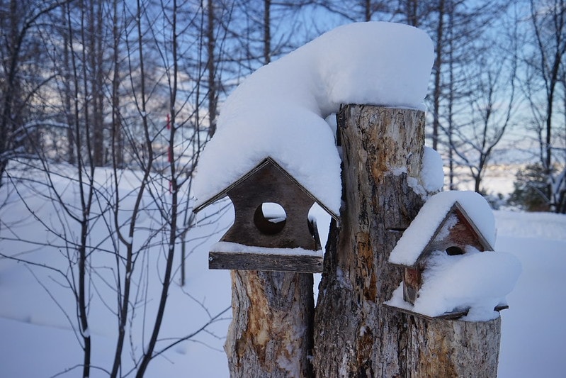 20251102-3lyd0 20251102-3lyd0