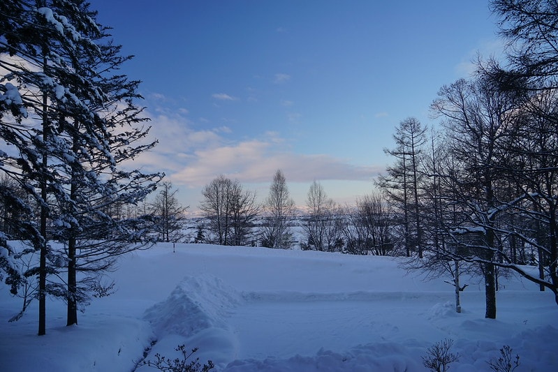 20251102-cf4ir 20251102-cf4ir