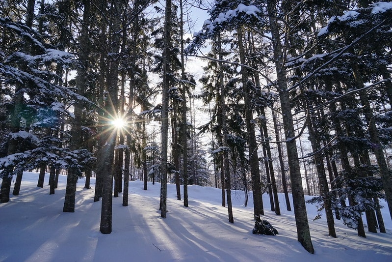 20251102-j3nto 20251102-j3nto