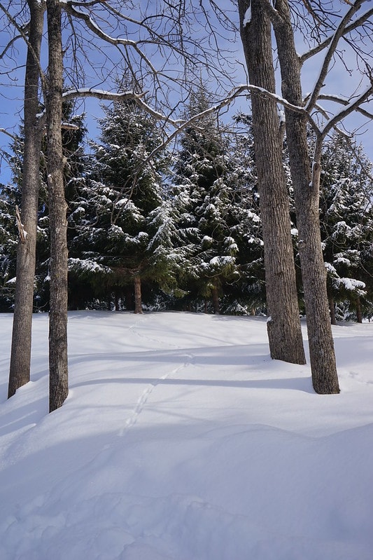 20251102-l8hvv 20251102-l8hvv