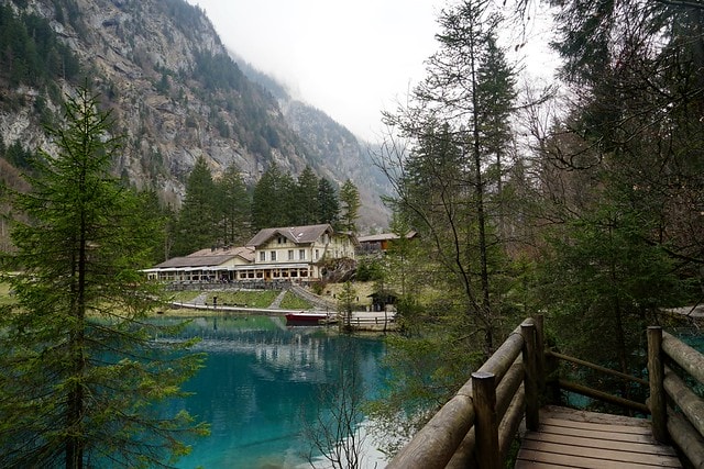 20251102-0ehb8 20251102-0ehb8