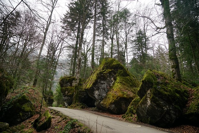 20251102-3a5g1 20251102-3a5g1